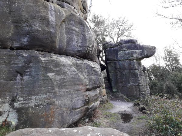 rocks